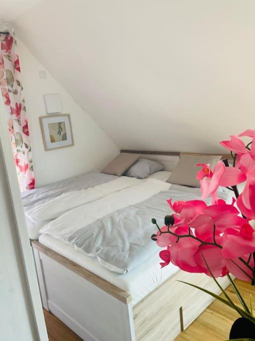 Apartment Scholle Steinbeck Recke Dış mekan fotoğraf